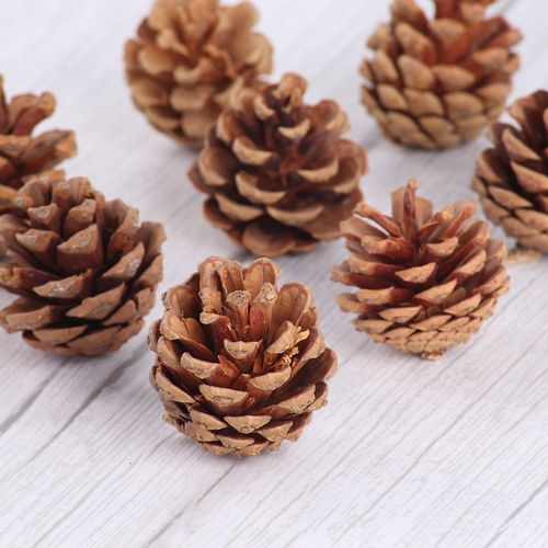 10pcs natural pine cones photo props accessories christmas d