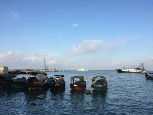 硇洲岛位于湛江东侧小岛,岛上环境优美,民风淳朴,火龙果是该岛上主要