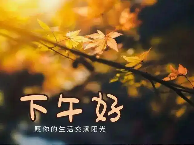 下午好祝福语漂亮带字温馨适合群发