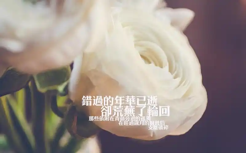 伤感心情文字壁纸