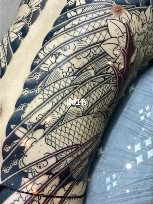 日式老传统 #鲤鱼纹身 #开衫 #半甲 #满背 #花臂 #日式老传统纹