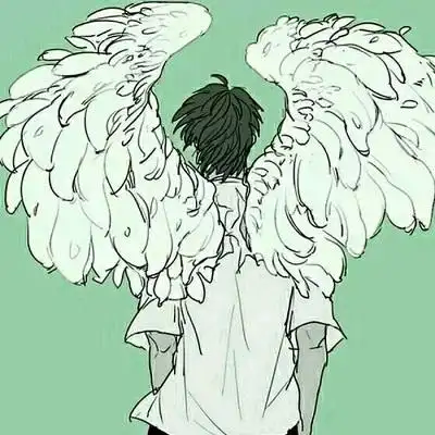 带有翅膀的动漫男生头像