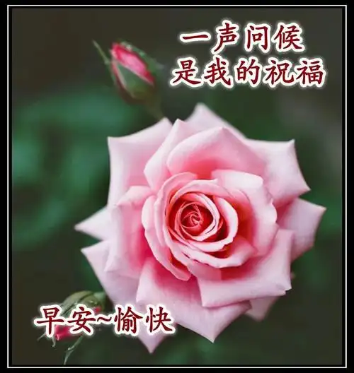 早晨好漂亮图片带字问候语秋天早晨好问候语祝福语表情图片大全