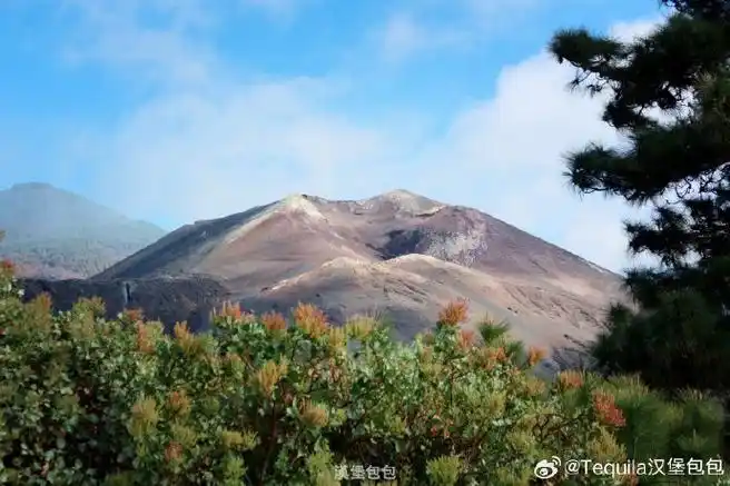 西班牙旅行##记录旅行#    最近岛上火山爆发的时间是2021年9月19日