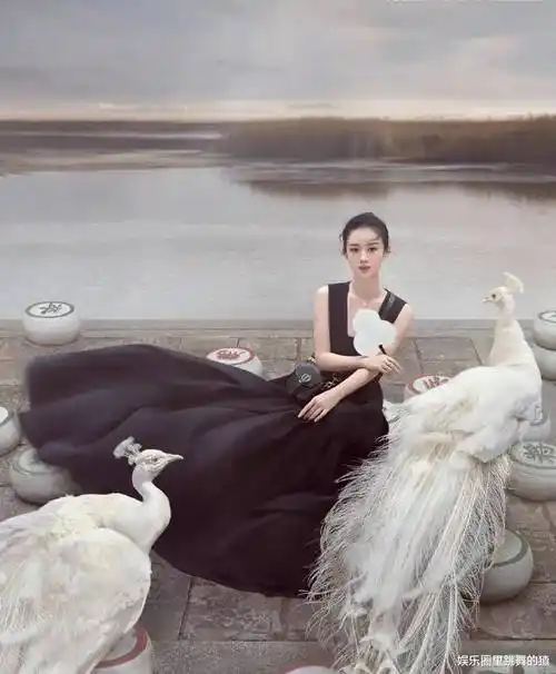 原创赵丽颖登杂志封面却被嘲笑撞脸袁冰妍网友照片修过头了