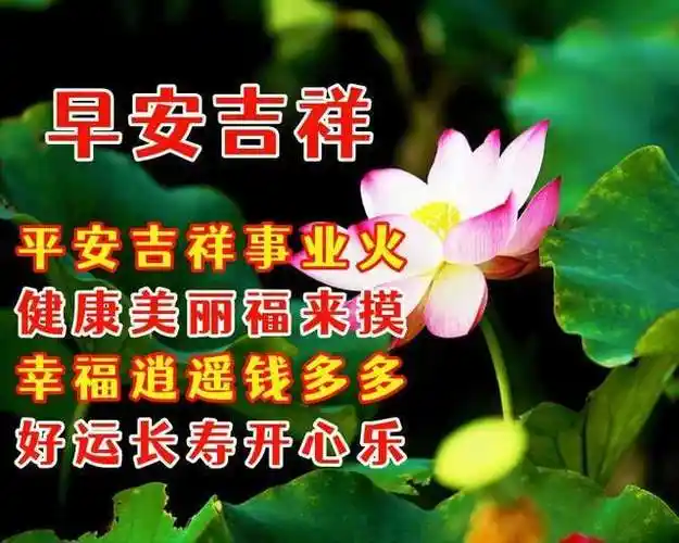 6月10日周五早安温馨问候愿你快乐健康开心如意