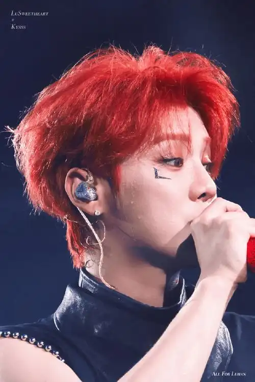 鹿晗演唱会##鹿晗上海演唱会