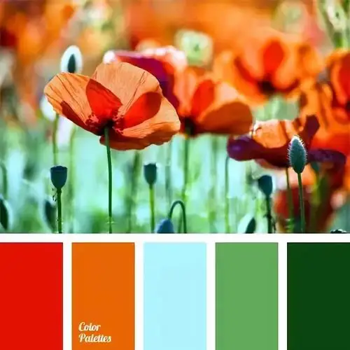 大自然里最普遍的红配绿是怎么成为圣诞色的