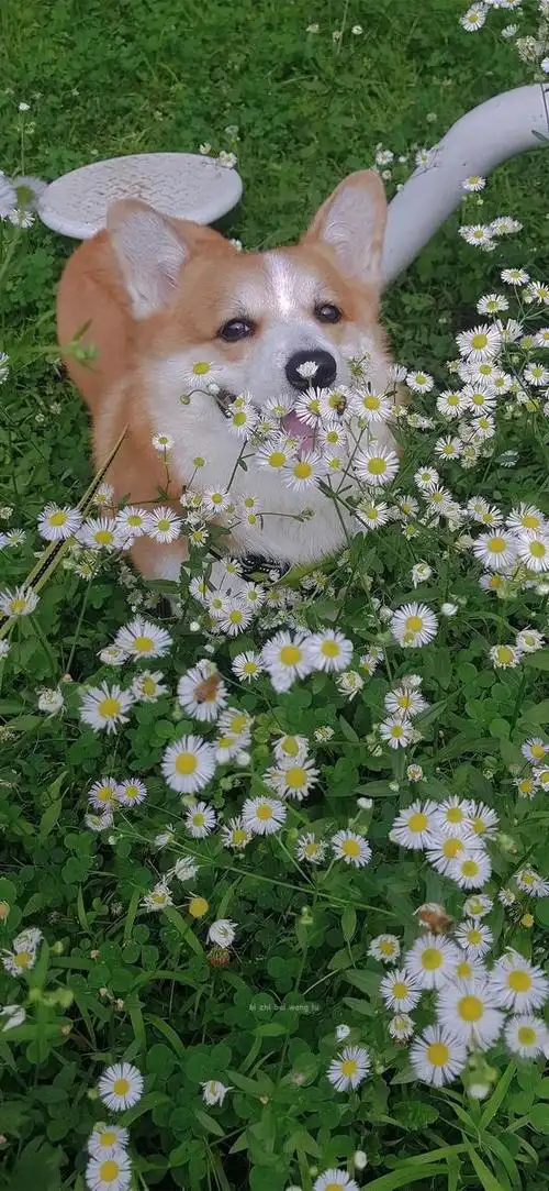 夏日小清新唯美治愈风景图,夏季清新唯美图片(夏日清新壁纸)