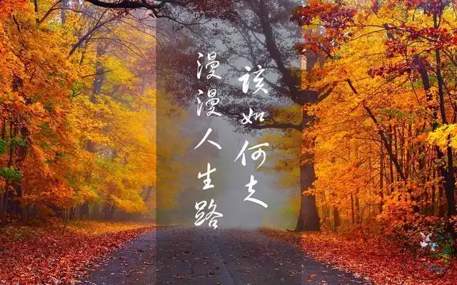 人生路,记住三句话_腾讯网