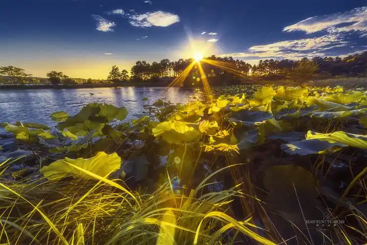 应美之城·凤尾湖_风景_poco摄影,湖北,湖北应城,旅游景点