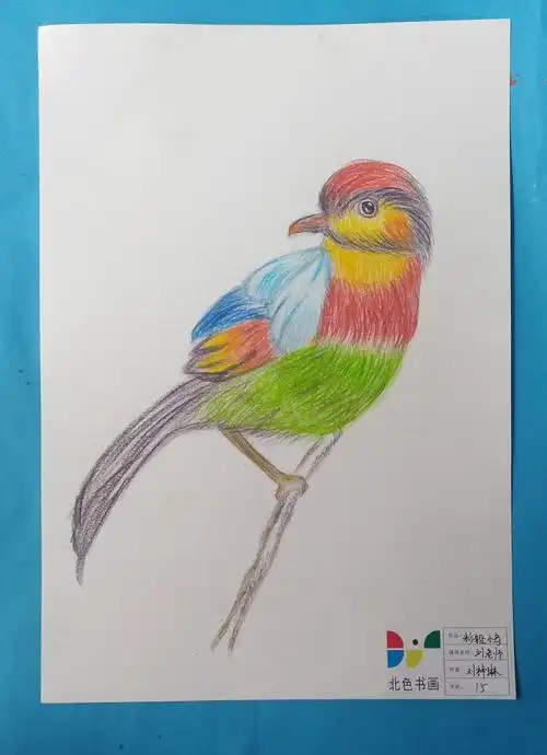 一是小鸟的形状该怎么画出来,二是如何画它的颜色