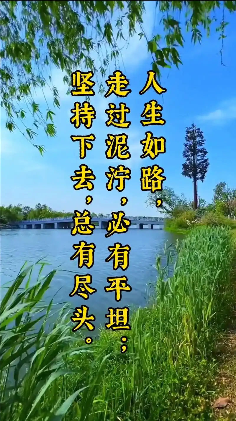 春日图文伙伴计划 #人生感悟 #正能量  人生如路, 走过 - 抖音