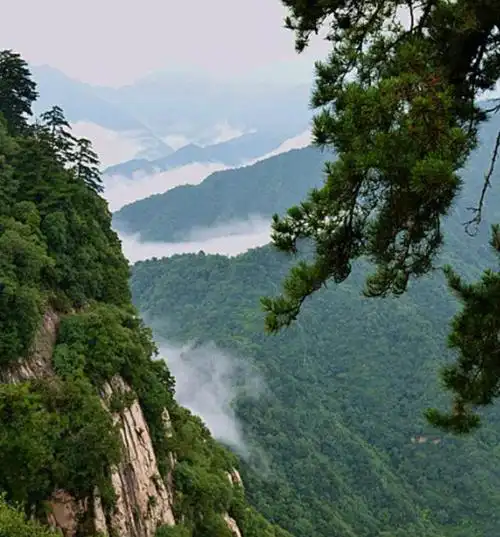 炎炎夏日里,诗游终南山