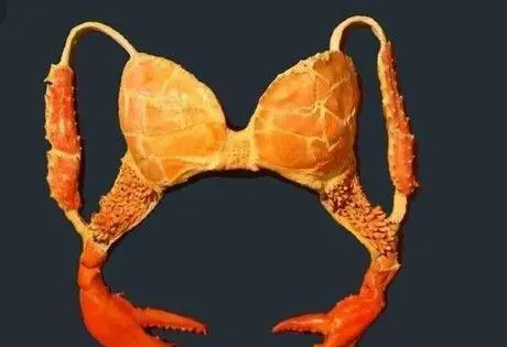 世界上最奇葩的服装,图1像泡面,图4没勇气穿!