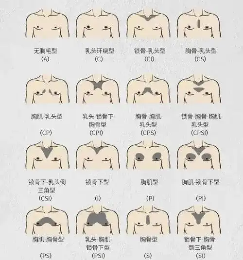 胸毛都长什么样?