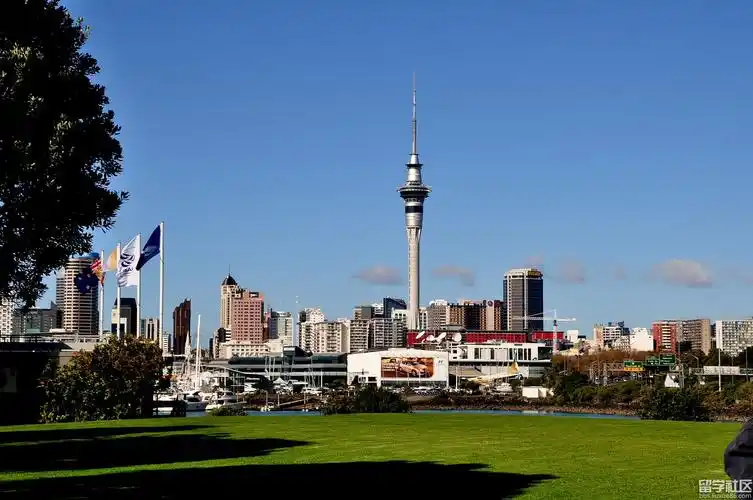 2014新西兰移民条件汇总