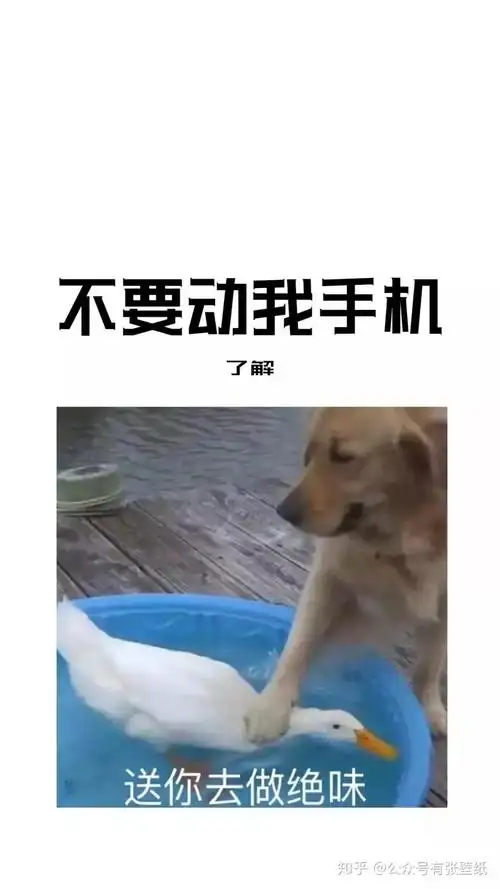 超超超好玩的不要动我手机系列锁屏壁纸