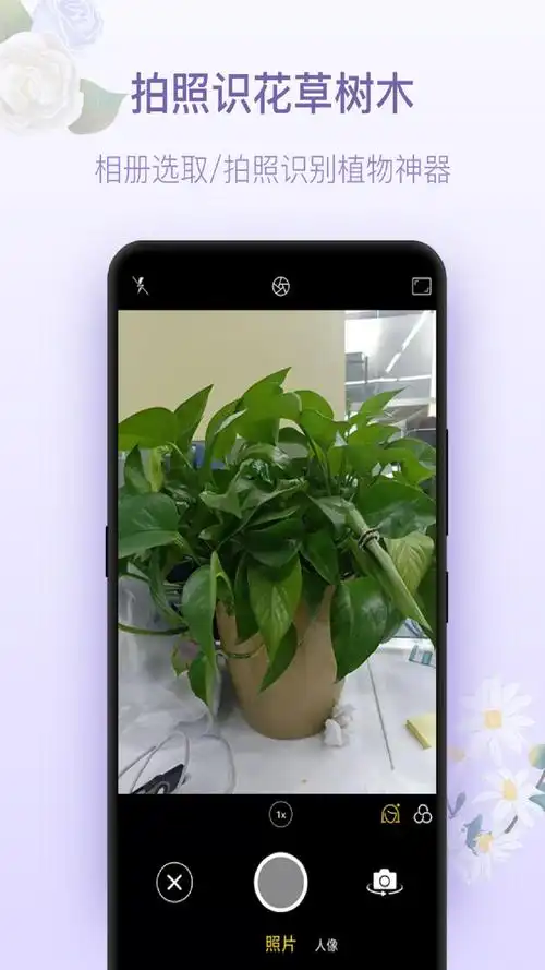 拍照识花神器app是一款可以帮助用户快速识别身边花草树木的应用