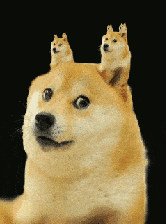 狗子萌宠可爱黄色gif动图_动态图_表情包下载_soogif