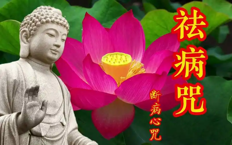 祛病咒|断病心咒,保佑您家人身体健康,平平安安.