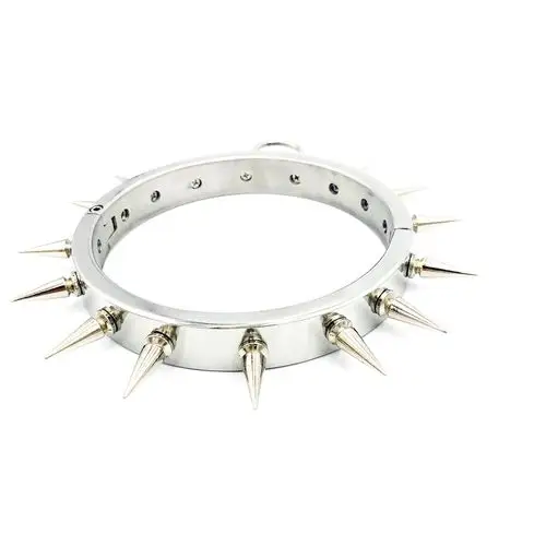 黑帝情趣用品另类玩具成人情趣狗玩具 项圈 不锈钢带刺激项圈