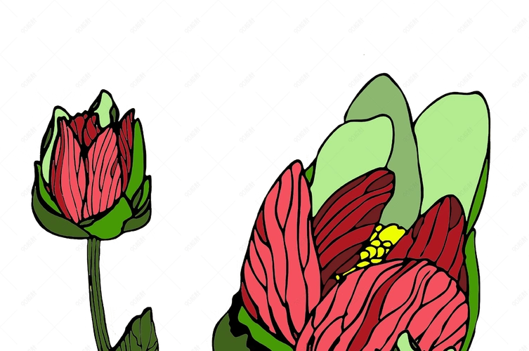 手绘装饰花卉png免抠