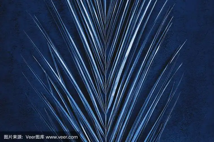 金属棕榈叶的特写在深蓝色的背景