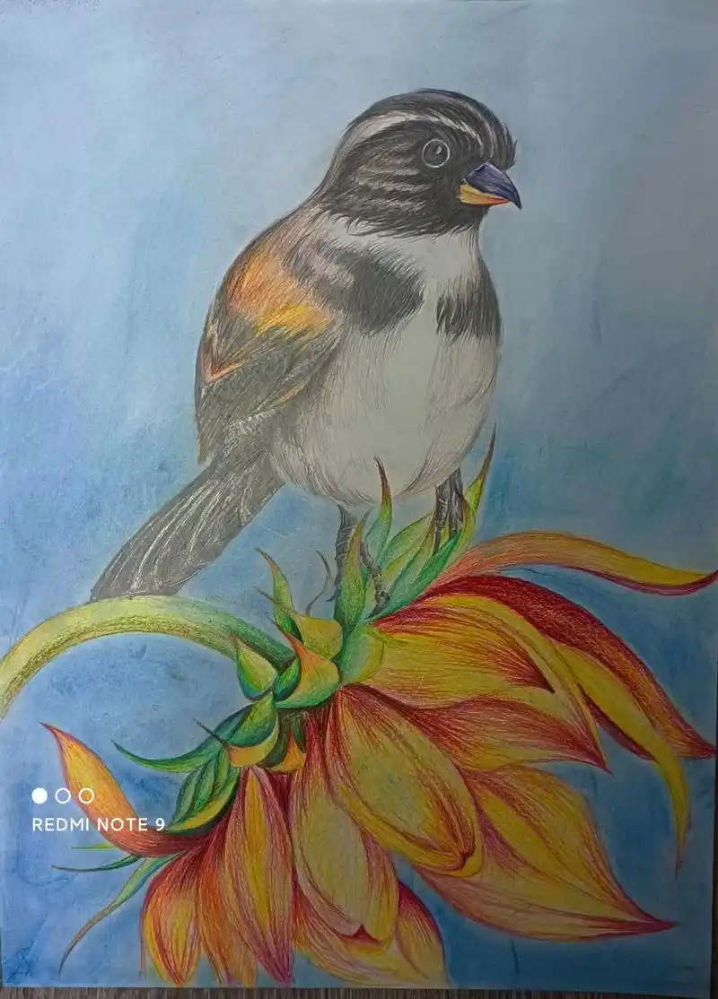 花鸟画 #原创绘画 #彩铅 #兴趣爱好 #想画就画 - 抖音