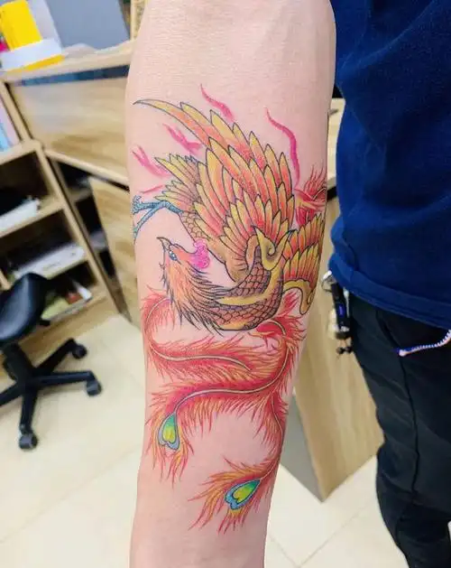 小臂凤凰纹身图片_手臂纹身图案