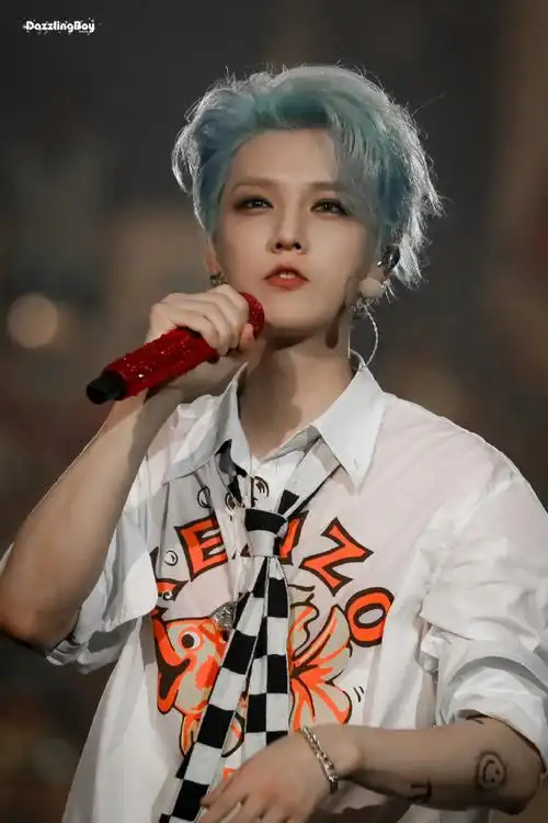 爱豆鹿晗回来了