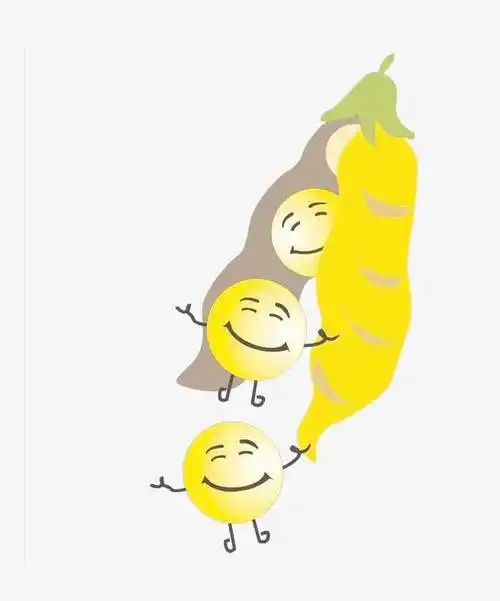 卡通黄豆【黄豆卡通素材】免费下载_黄豆卡通图片大全卡通脱壳的黄豆