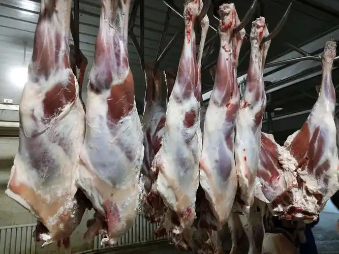 新疆和布克赛尔蒙古自治县有机排酸羊肉