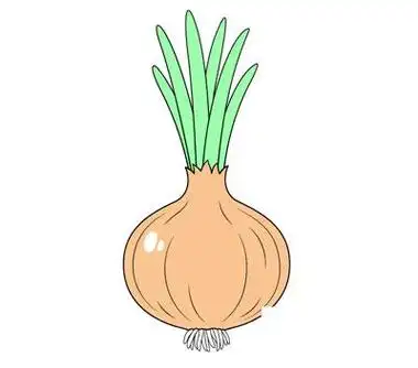 优质短图文计划# 想到用简笔画画洋葱,小朋友们又不是回忆起被呛的