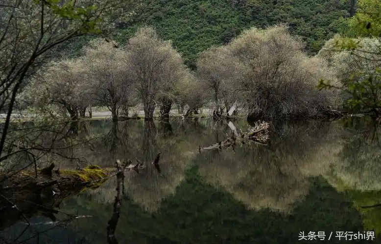 最后净土探秘中国最美的原始森林