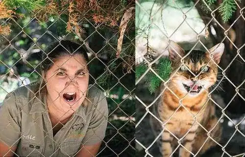 世界上长得一模一样的人那么少,为什么夫妻之间会这么像?