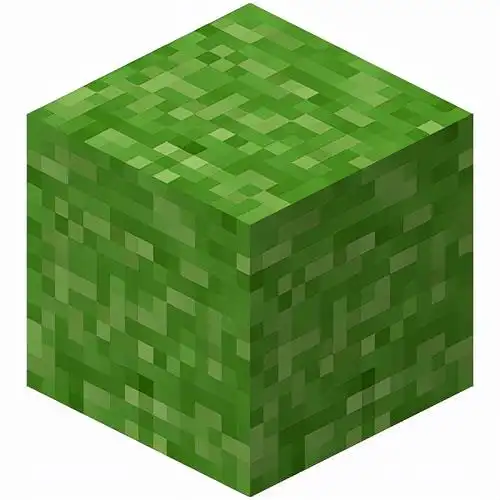 16草方块是最早加入《我的世界》的方块之一,当年它的材质六个面都