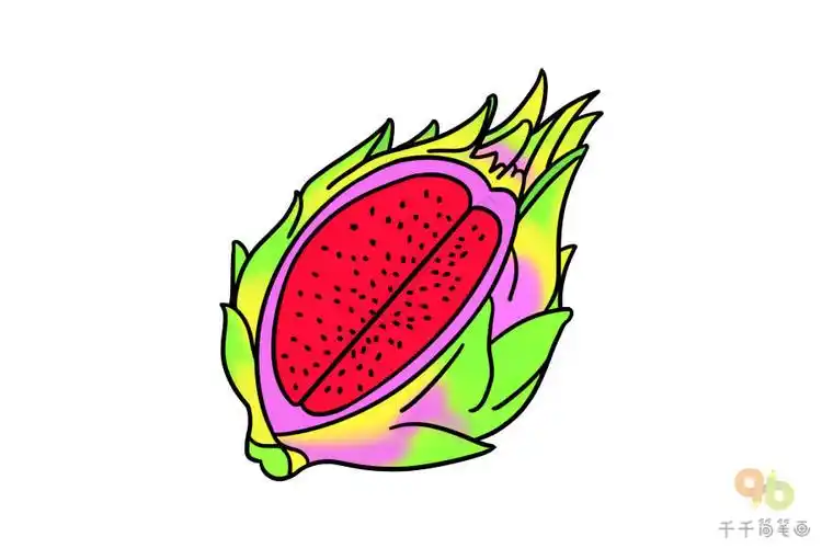 红心火龙果简笔画步骤图