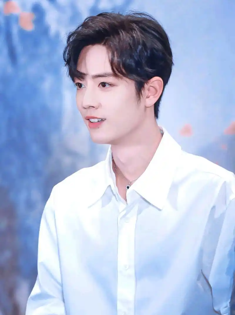 肖战发手绘告白,画作特别含义十足,小飞侠:还有哥哥的爱心痣!