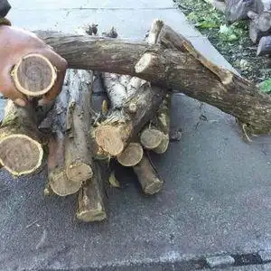 东北扁担胡子,黄花梨木