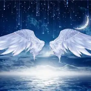 于自由光 新款网红yny主播背景布3d直播间室内公主翅膀韩版温馨大