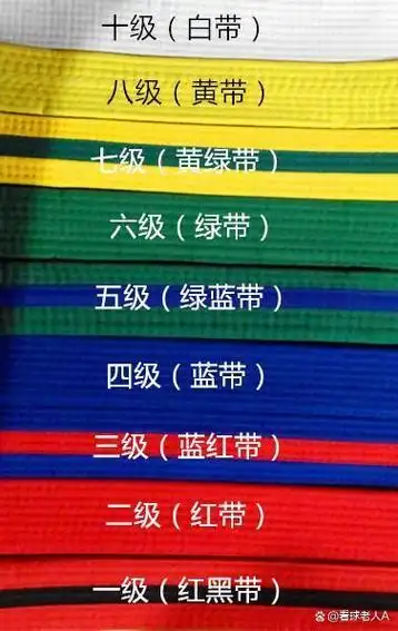 跆拳道分为十级,其中十级最低,一级最高,不同的级别对应不同颜色的