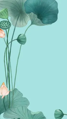 边框,手帐,背景图,抠图