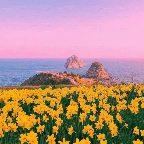 美腻朋友圈背景图