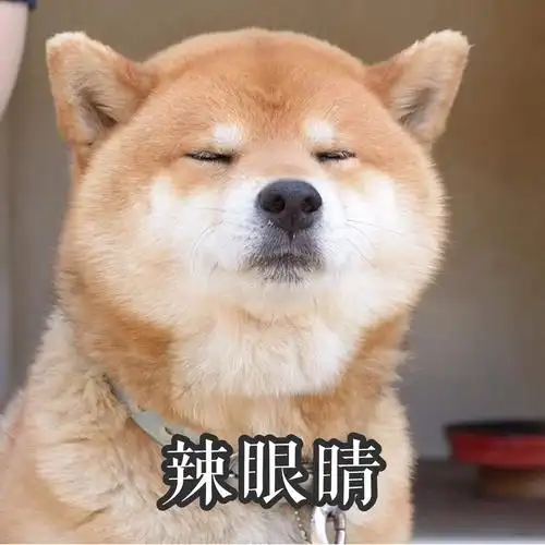 八月院线观影指南