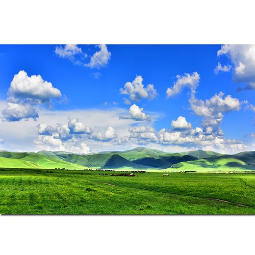 内蒙古大草原绿色草地牛羊挂画蓝天白云风景海报客厅房间画 z10 28*42