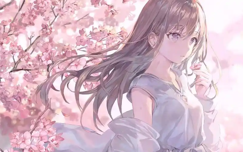 樱花少女 桌面壁纸 动态 4k 「评论区下载」