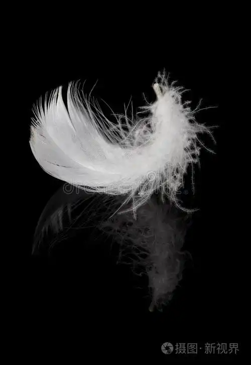 鸡毛与黑色思考