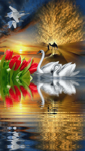 346_609竖版 竖屏gif 动态图 动图