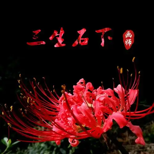 三生石下 (伴奏)_mc画师,九歌_高音质在线试听_三生石下 (伴奏)歌词